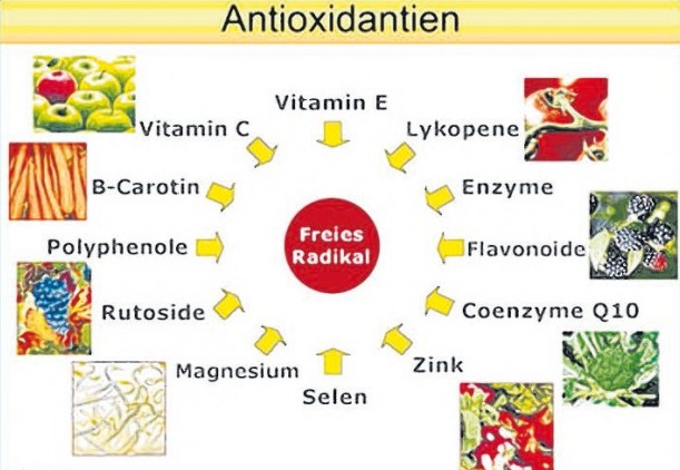 Antioxidantien Vitamine